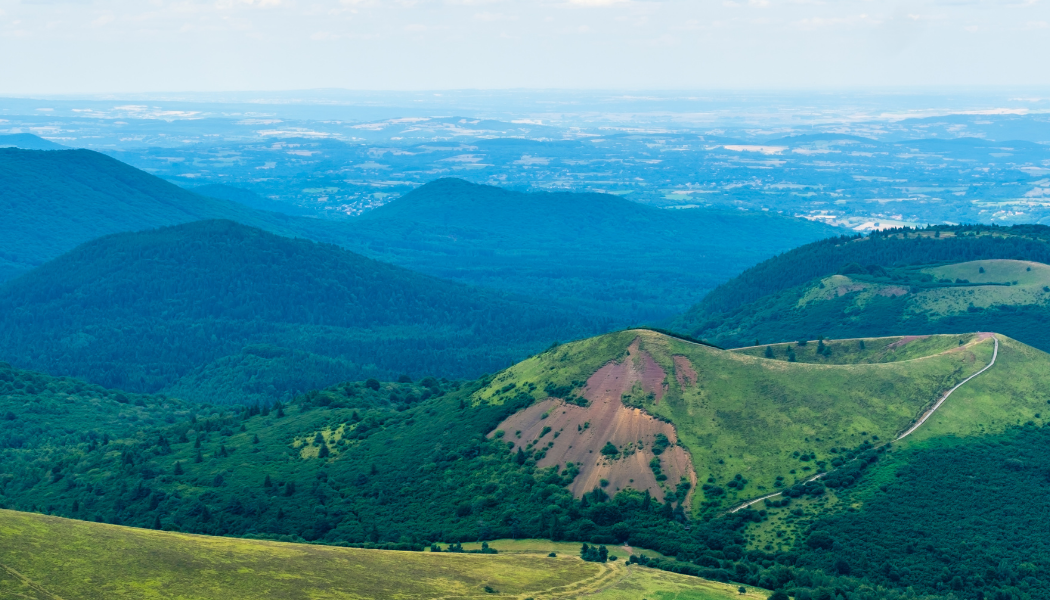 Paysage (2)